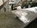 2016-01-16 12-50-06